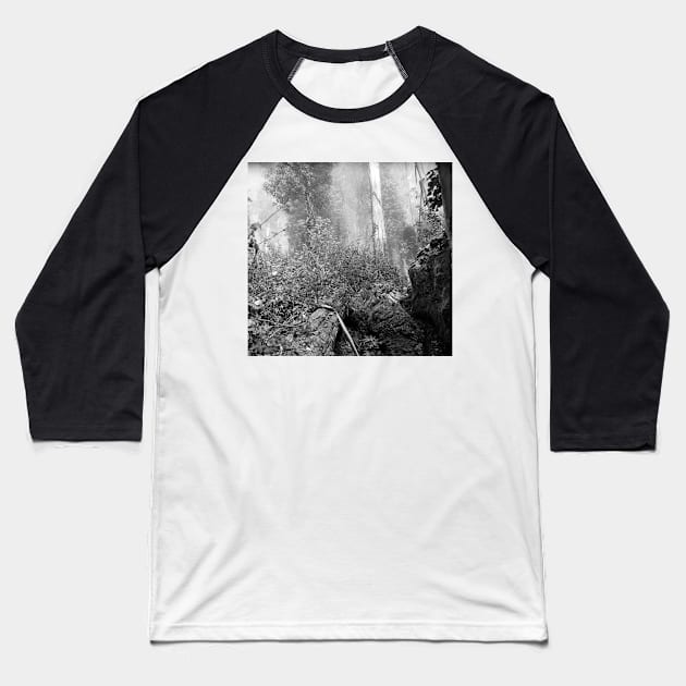 Eucalypti of Mount Sutro Baseball T-Shirt by rodneyj46